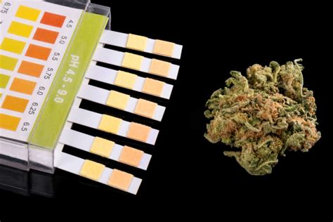 does tch oil concentrate harder to pass drug test|how much thc for drug testing.